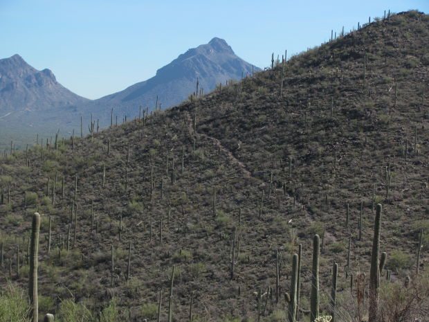 View of Brown Mountain Trail
